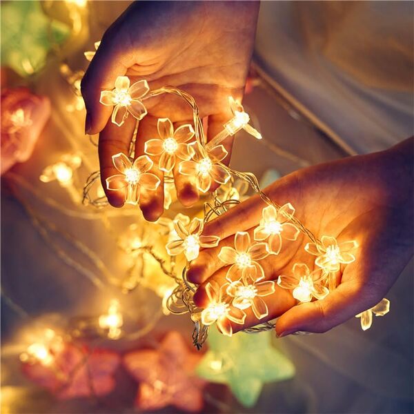 LED svetlobna veriga marjetice | DAISYGLOW