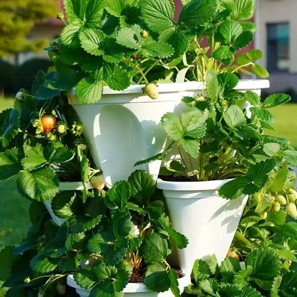 Po višini zložljivi lonci za rože | PLANTUP