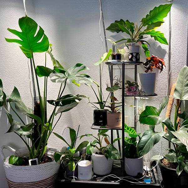 Stojalo za lončke z rastlinami | POTSTAGE