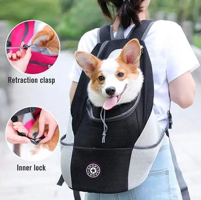 Nahrbtnik za hišne ljubljenčke | PETPACK