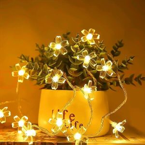 Dekorativne LED luči (3m) | DAISYGLOW