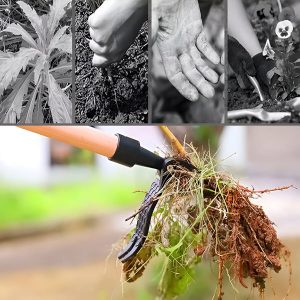 Orodje za odstranjevanje plevela | ROOTNIK