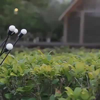 Solarna vrtna svetilka (6 žarnic) | SOMPEX