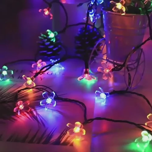 Dekorativne LED luči (3m) | DAISYGLOW